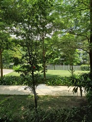 Eco Sanctuary (D23), Condominium #181638722